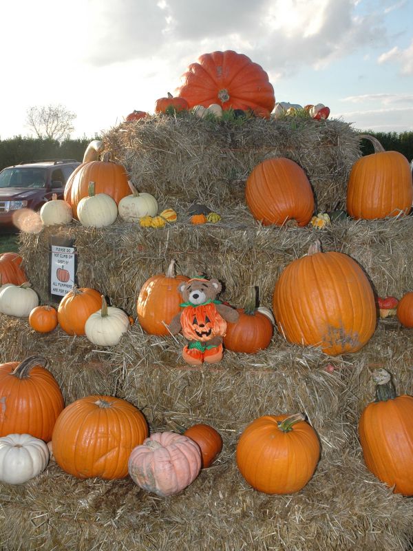 2014_10_18_-_126_-_Nikon_D70.JPG