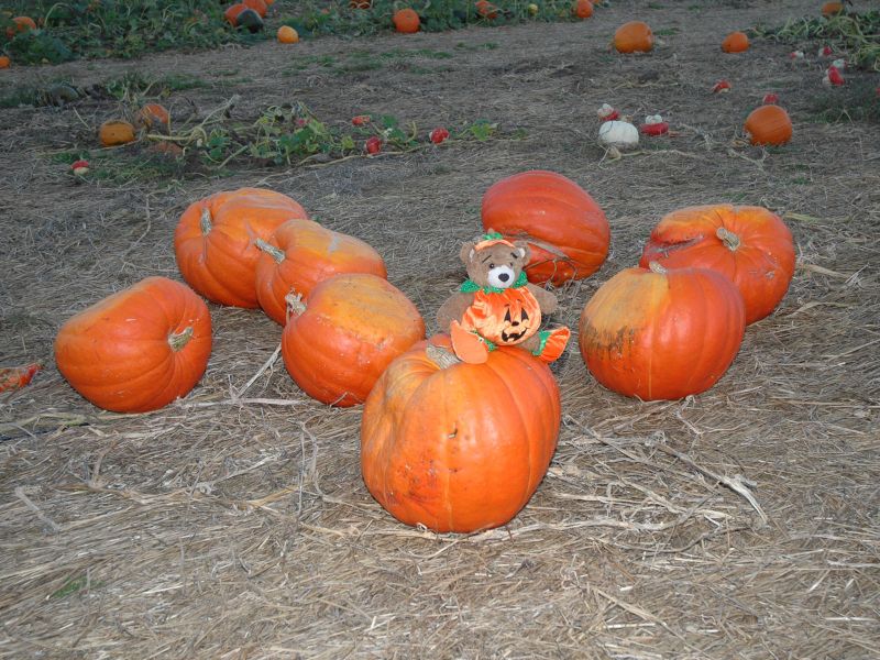 2014_10_18_-_144_-_Nikon_D70.JPG